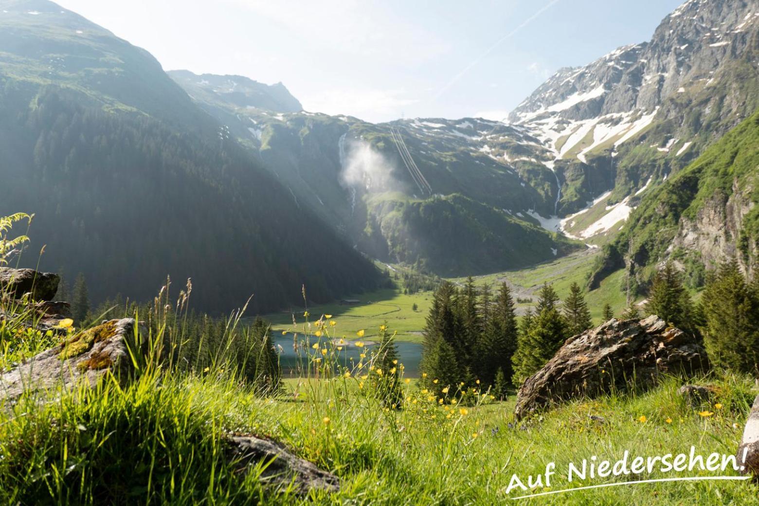 Ferienwohnung Auf Niedersehen - 8 Personen - Kitzbuehler Alpen - Hoehe Tauern Np 胡勒斯巴赫平 外观 照片
